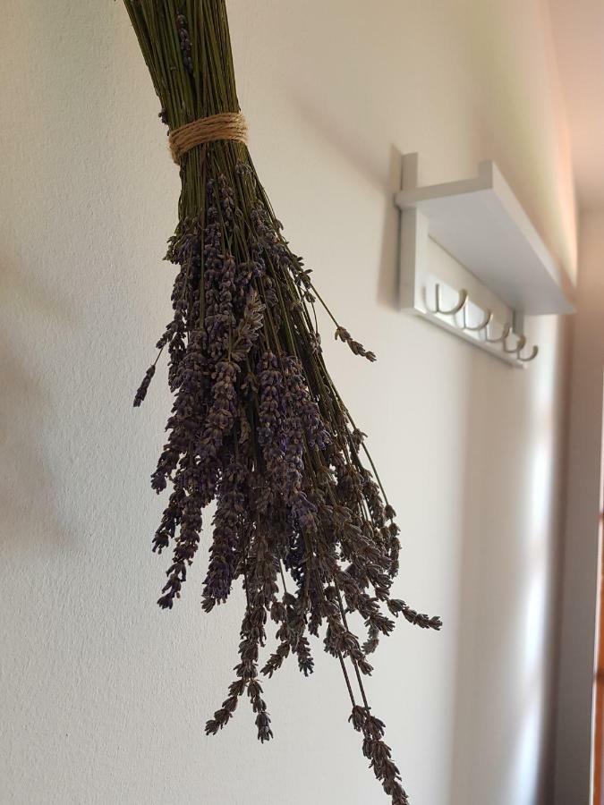 Apartment Boba 穆泰尔岛 外观 照片